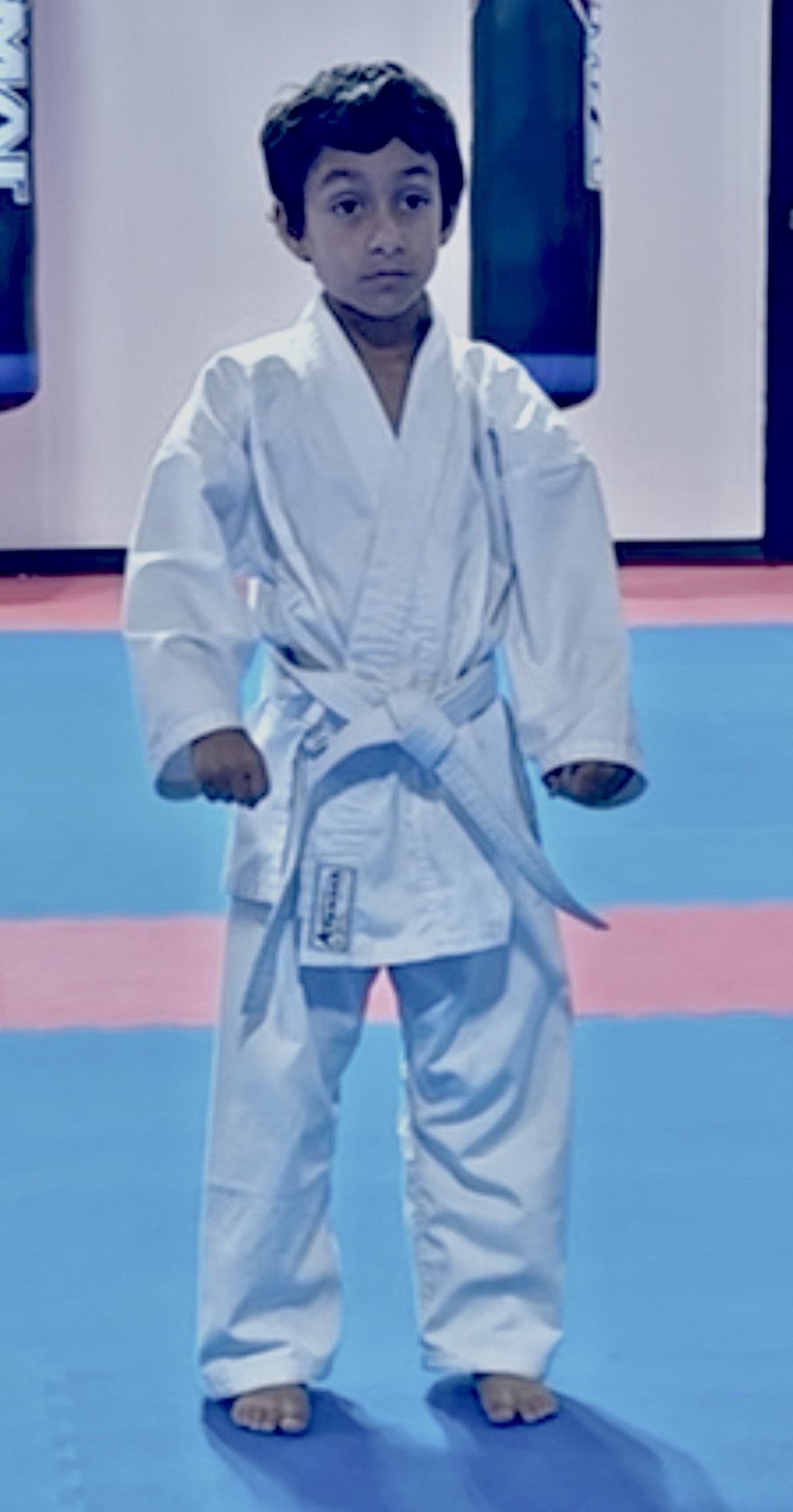 Ayaansh Vijayan